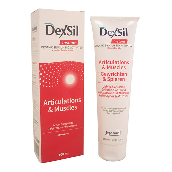 DEXSIL Articulations Instant - Gel