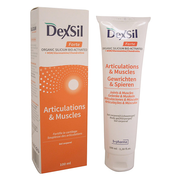 DEXSIL Articulations Forte - Gel